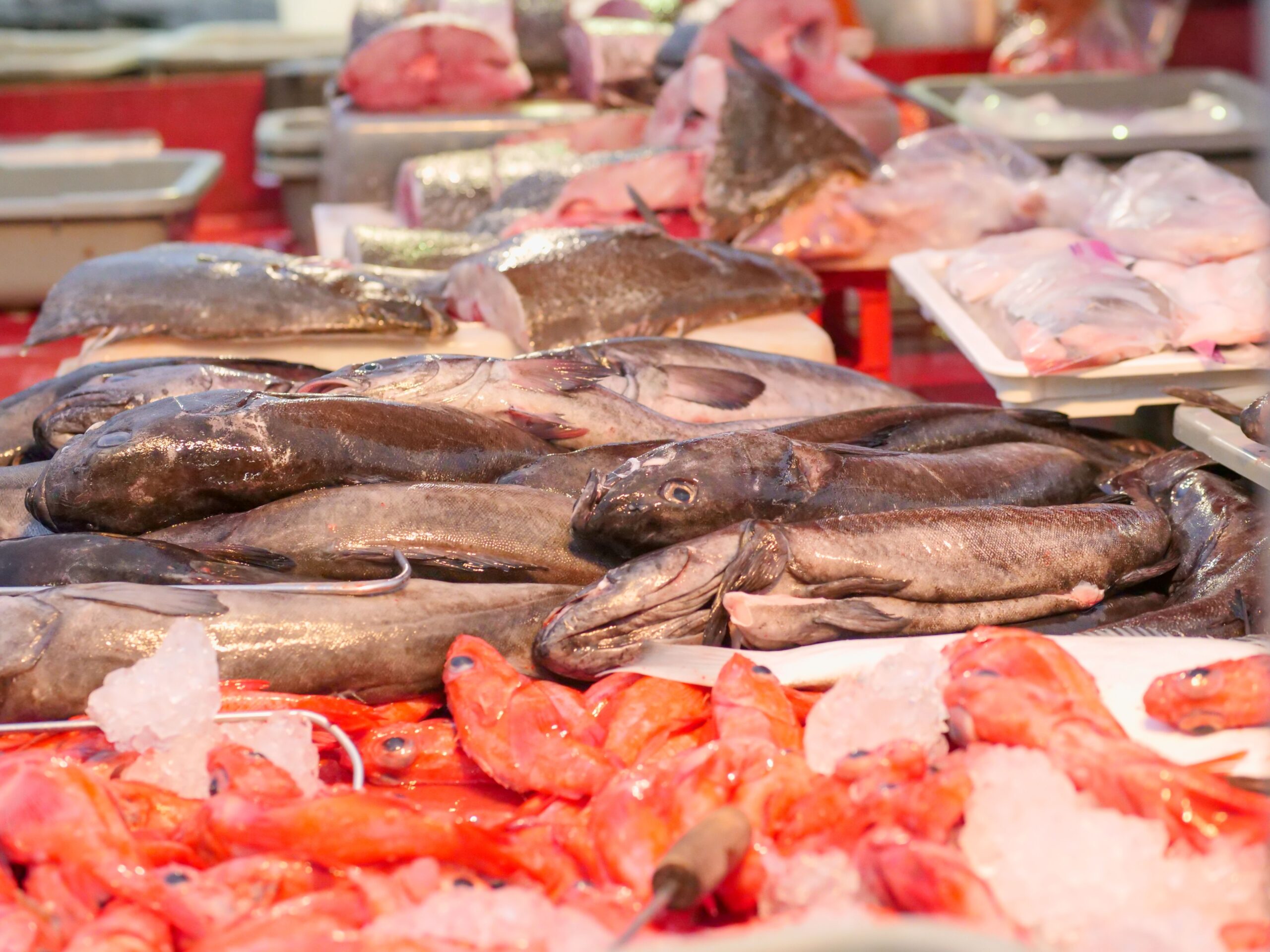 Étal de poisson frais chez un poissonnier - critères de fraîcheur à vérifier